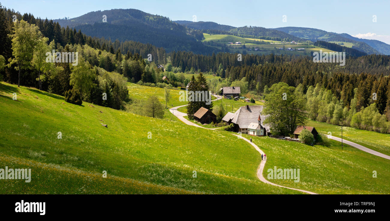 Alte Schwarzwälder Bauernhof in der Nähe von Hinterzarten, Deutschland Stockfoto