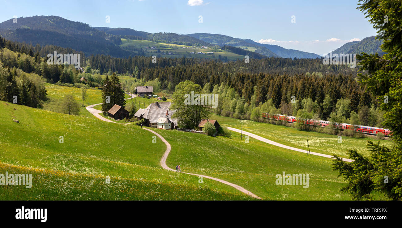 Alte Schwarzwälder Bauernhof in der Nähe von Hinterzarten, Deutschland Stockfoto