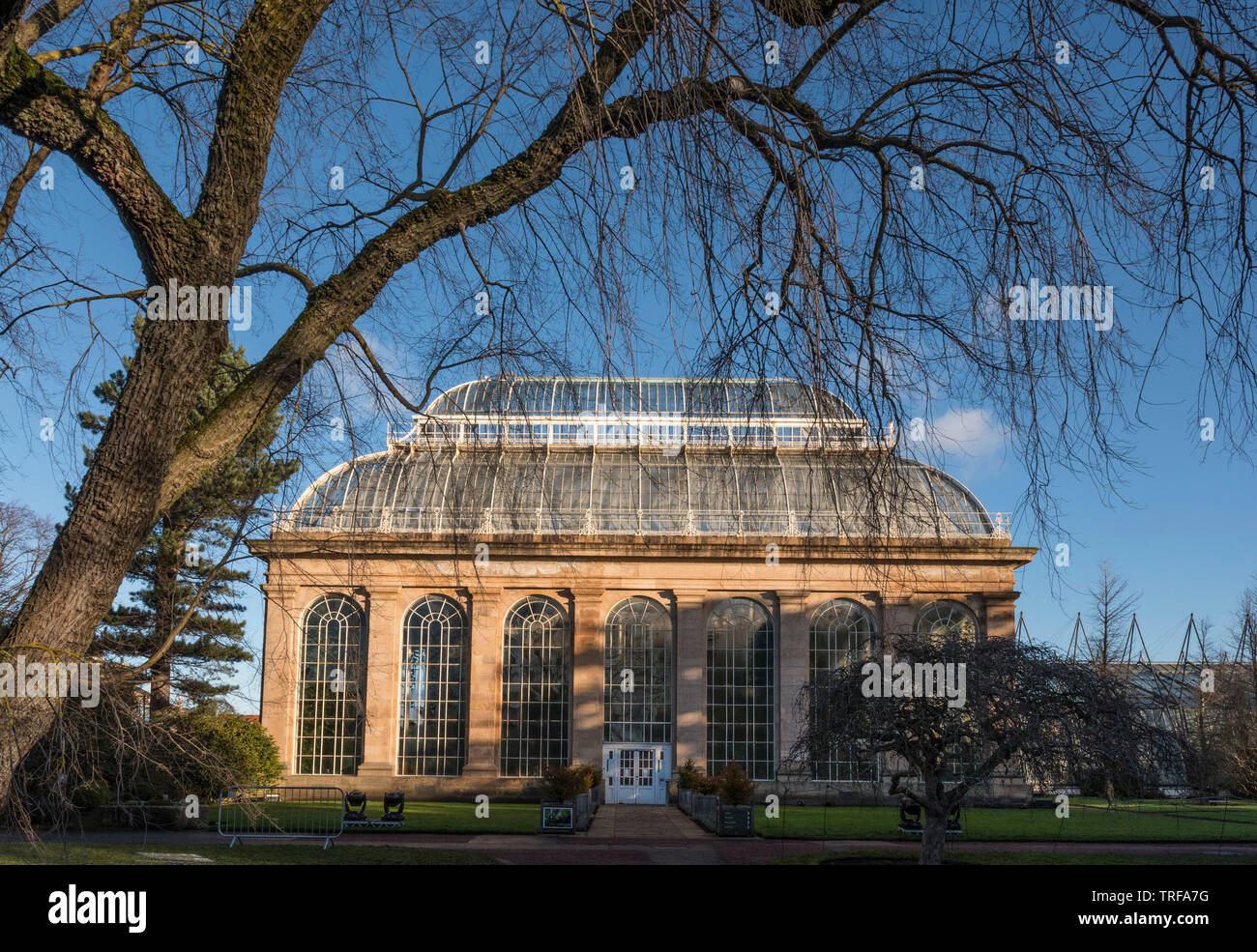 Das Palm House, Royal Botanic Garden Edinburgh Stockfoto