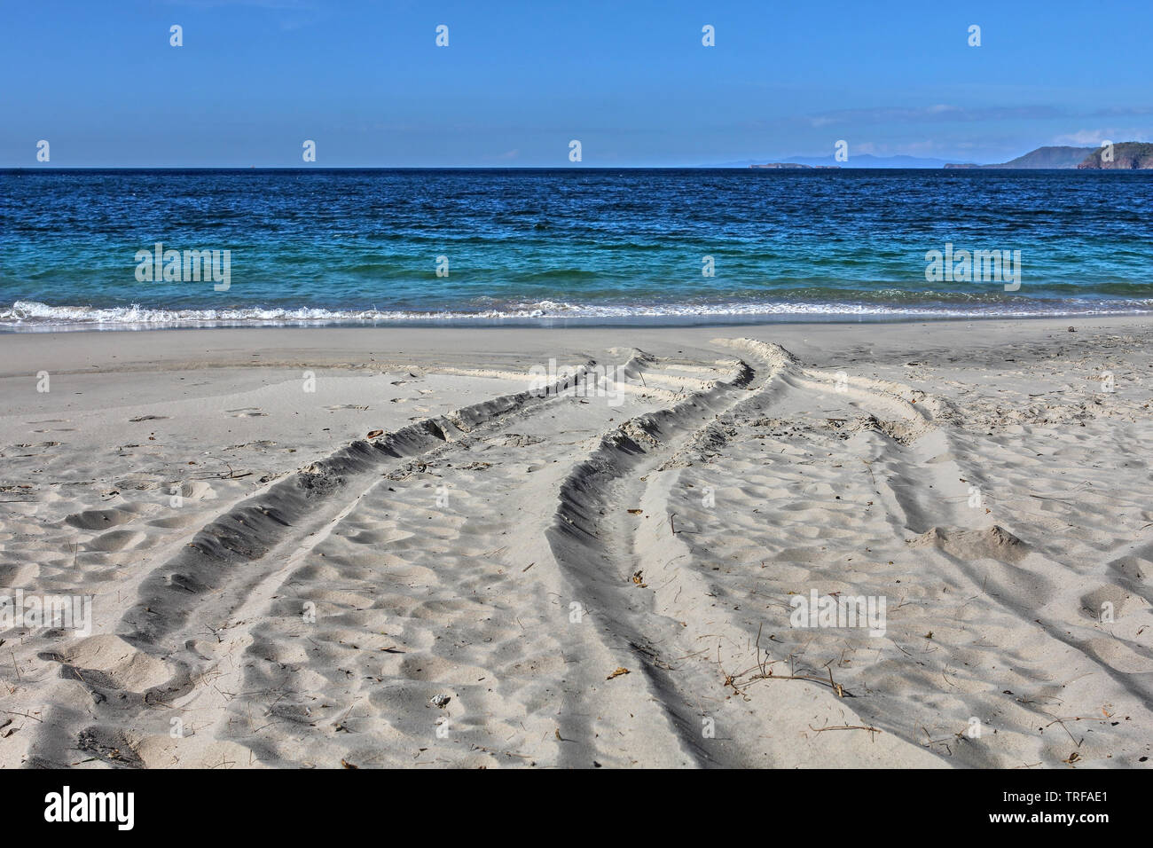 Tracks auf weißen Sandstrand Playa Conchal (Shell Beach) in Guanacaste trockene Region von Costa Rica. Stockfoto