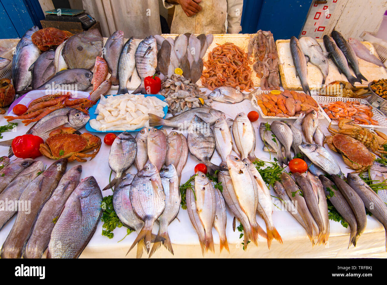 Echten Fischmarkt und frischen Fisch, Meeresfrüchte aus dem atlantischen Ozean in Marokko Stockfoto