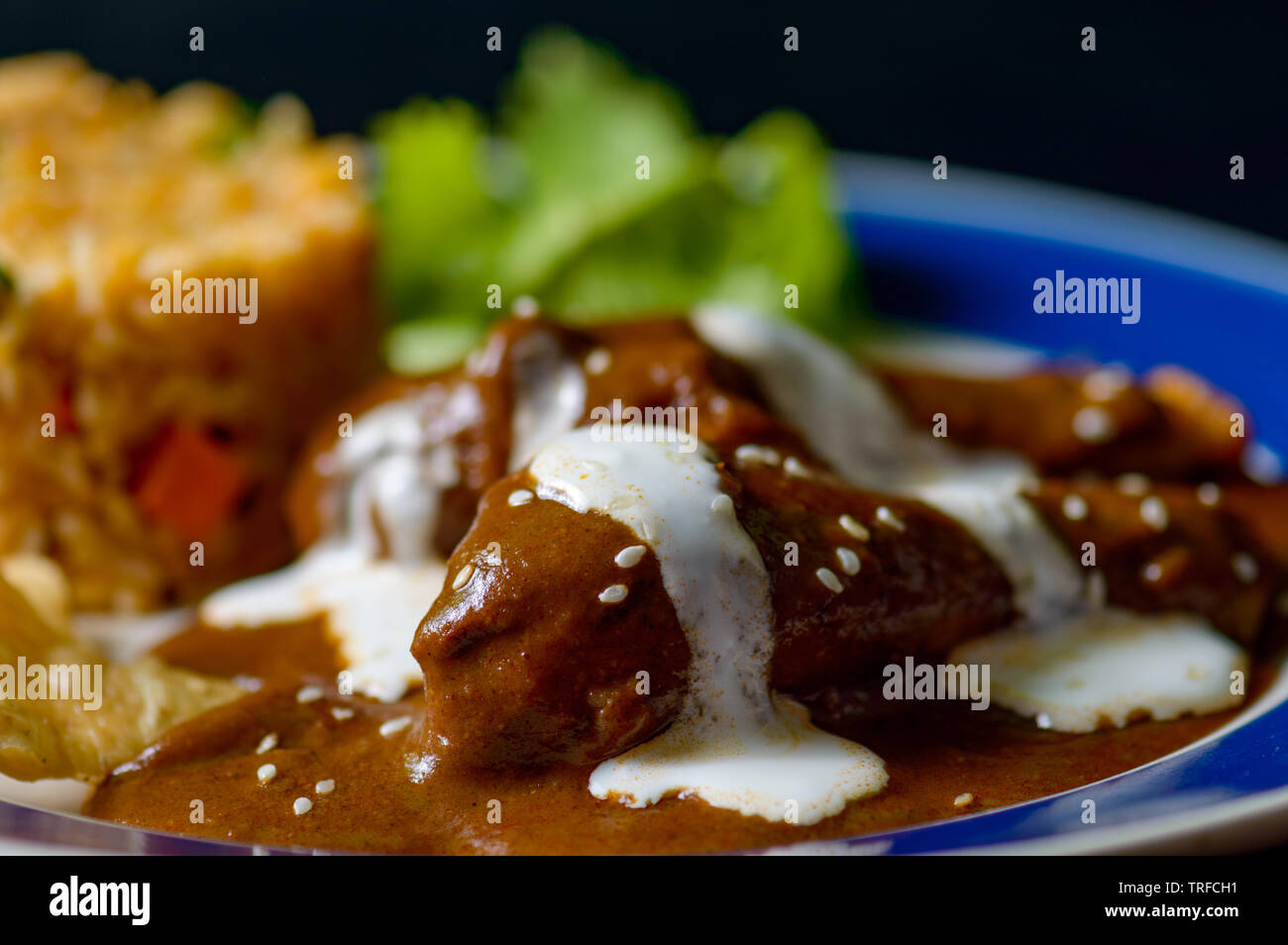 Mole Poblano Sauce mit Huhn und mexikanische Reis, traditionellen Spezialitäten von Oaxaca und Puebla. Essen, Restaurants, Menüs, Mexiko, Reisen, Tradition Stockfoto