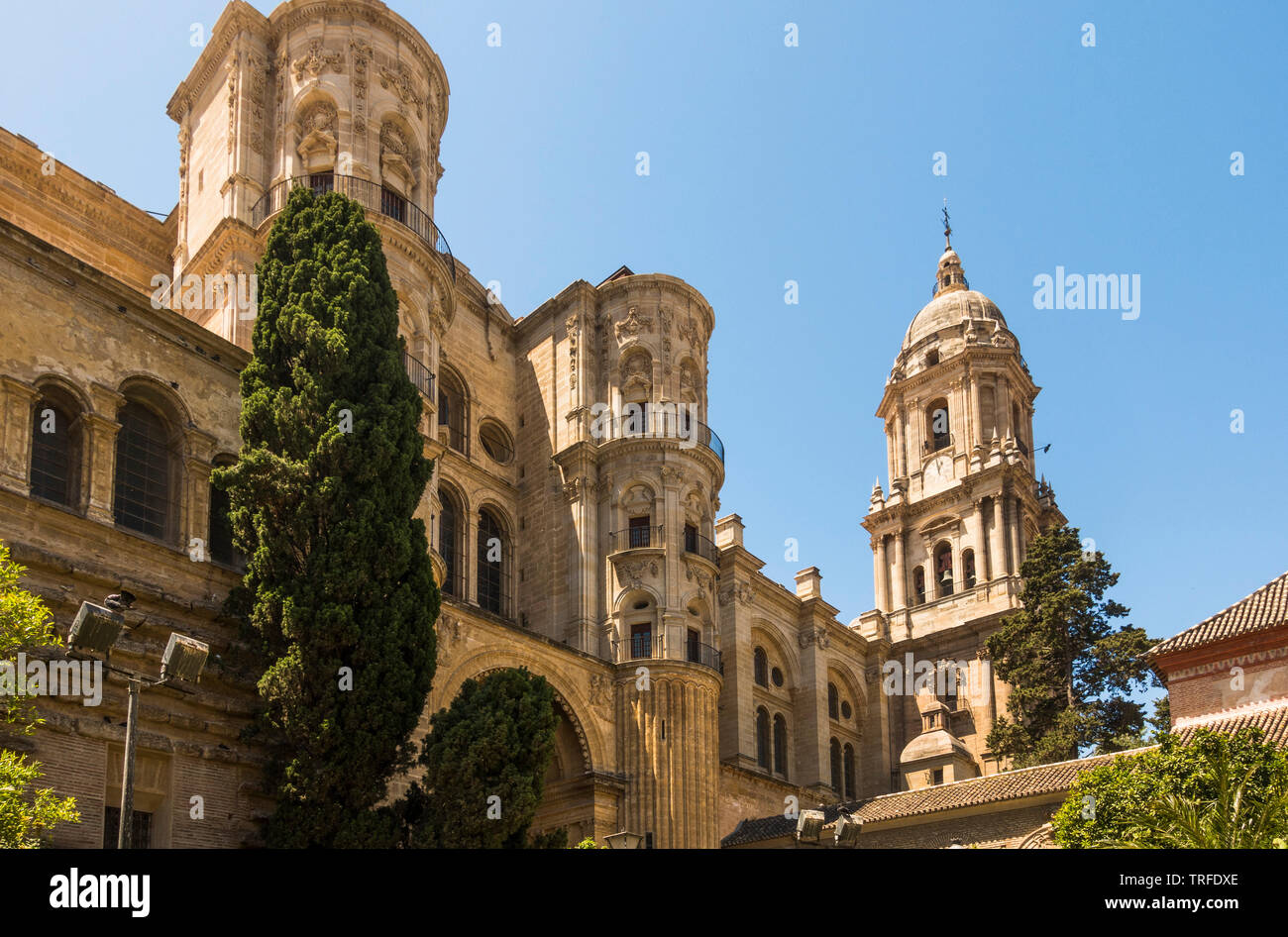 Die Kathedrale von Malaga, Seitenansicht, Malaga, Andalusien, Spanien. Stockfoto