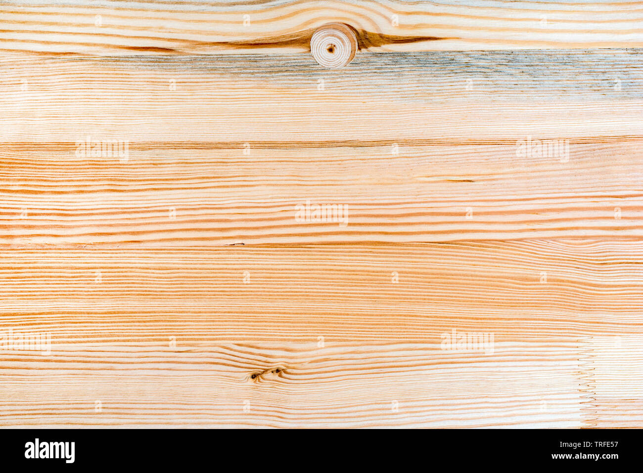 Eastern white pine Holzbrett board Textur als Hintergrund, Ansicht von oben Stockfoto