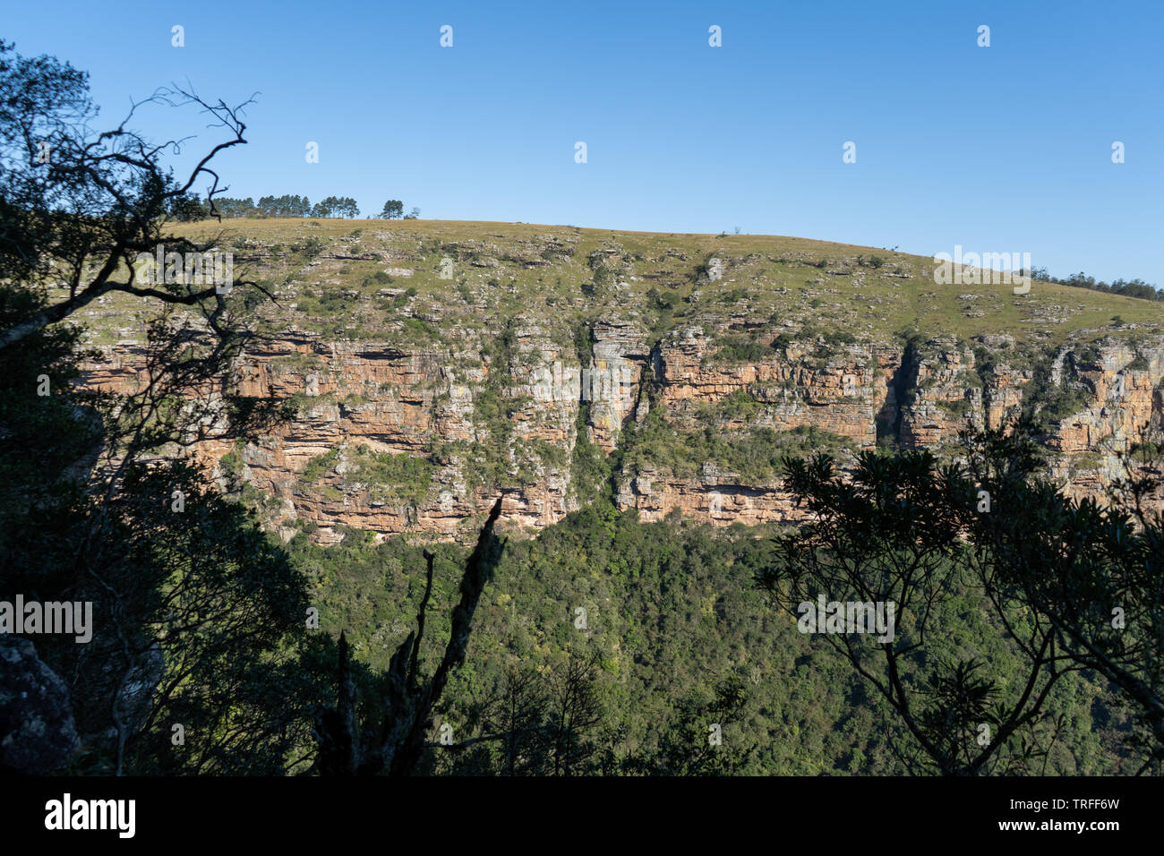 Felswand und Skyline in der schönen Oribi Gorge in Südafrika. Stockfoto