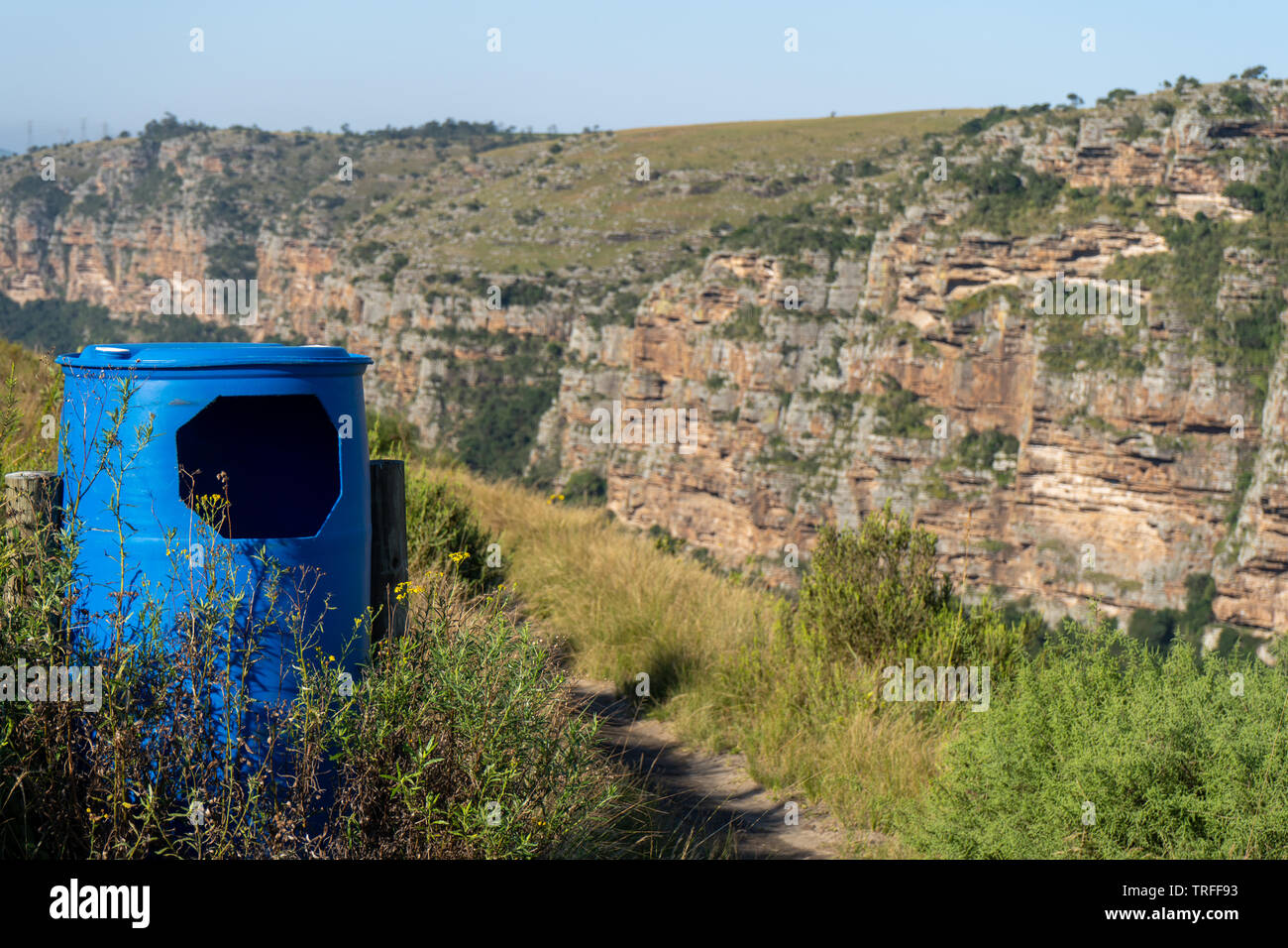 Helle blaue Abfallbehälter mit Gras wächst es auf dem berg Wanderung in Oribi Gorge Südafrika Stockfoto