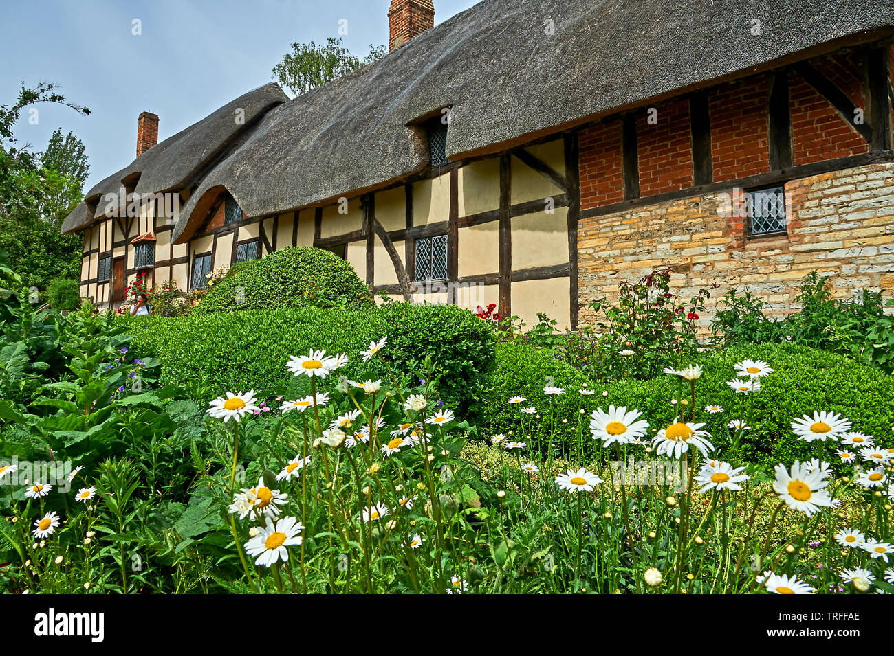 Anne Hathaway's Cottage in Shottery, Stratford Upon Avon, ist ein mittelalterliches Fachwerkhaus Gebäude und Haus von William Shakespeares Frau. Stockfoto