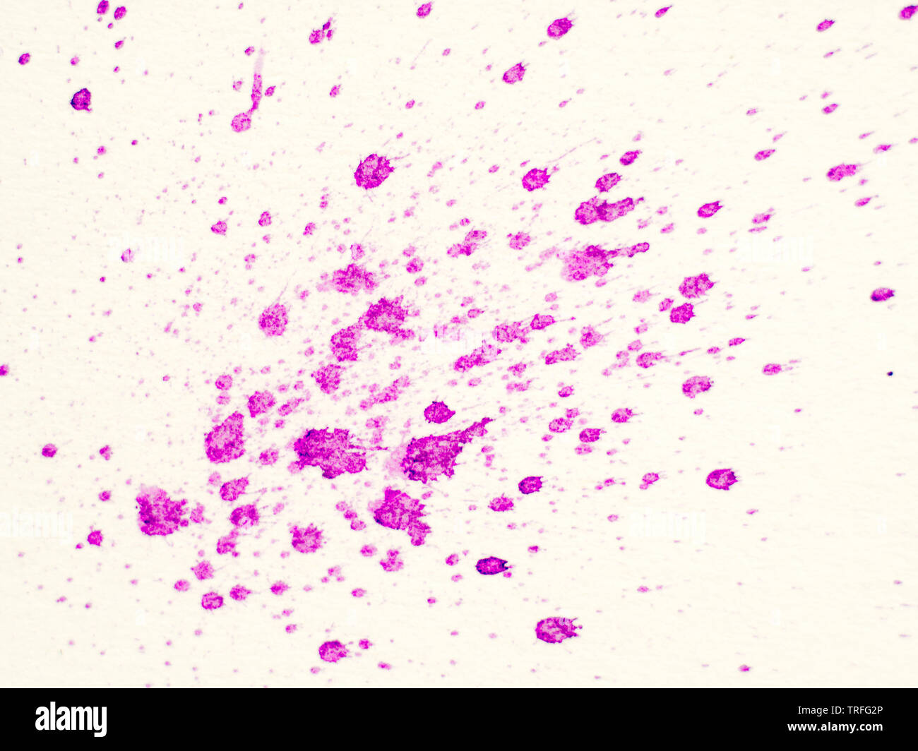 Abstrakte farbige Tinte splatter auf weißem Papier Stockfoto