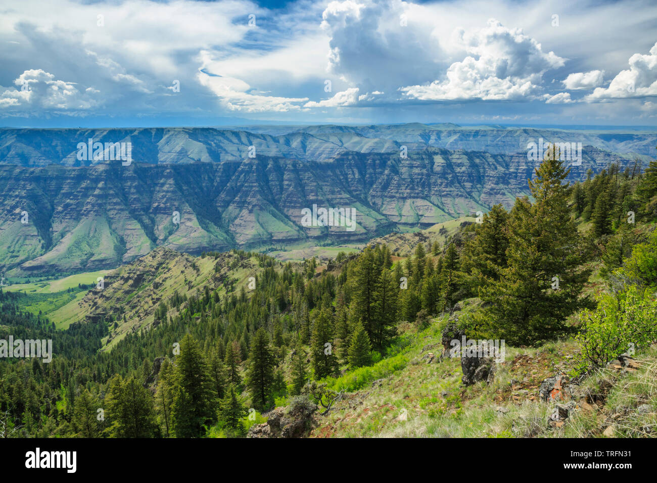Imnaha Tal Sheep Creek Teilen aus gesehen Hut Point Road in der Nähe der Imnaha, Oregon Stockfoto