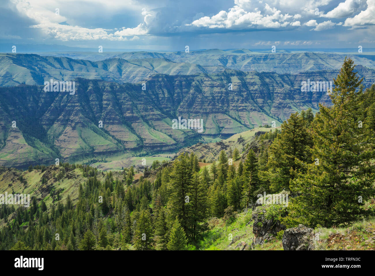 Imnaha Tal Sheep Creek Teilen aus gesehen Hut Point Road in der Nähe der Imnaha, Oregon Stockfoto