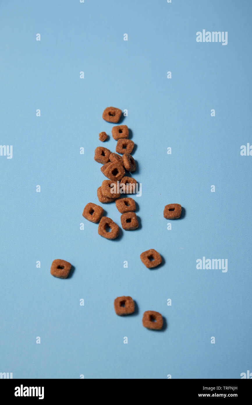 Crunchy kitty Essen zusammen einen blauen Hintergrund verstreut Stockfoto