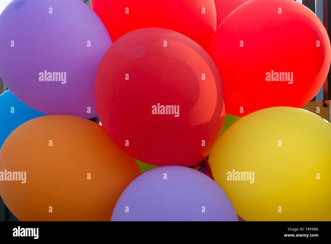 Gruppe von bunten Luftballons closeup Stockfoto