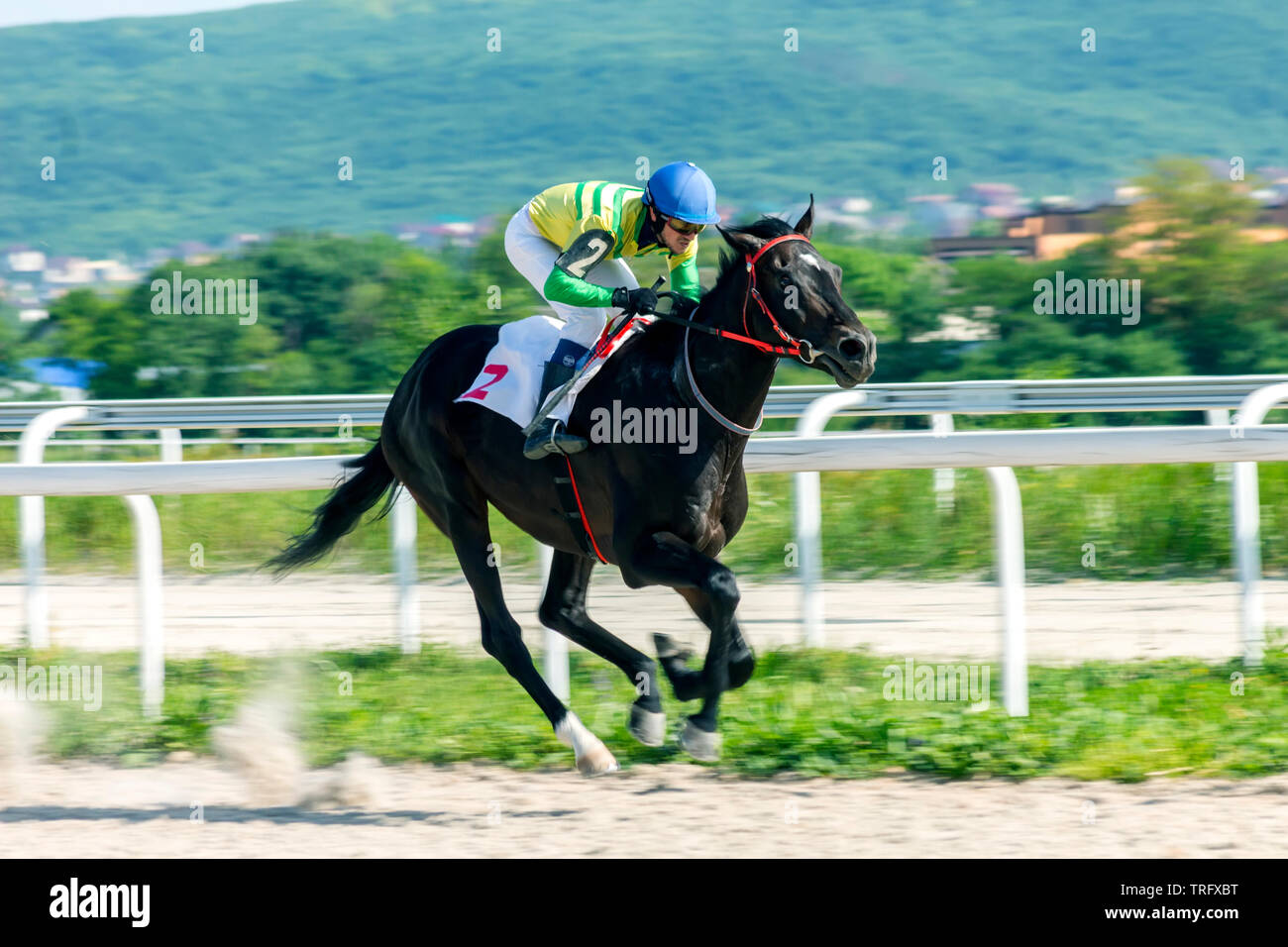 Pferderennen der traditionellen Preis auf pyatigorsk Hippodrom Stockfoto