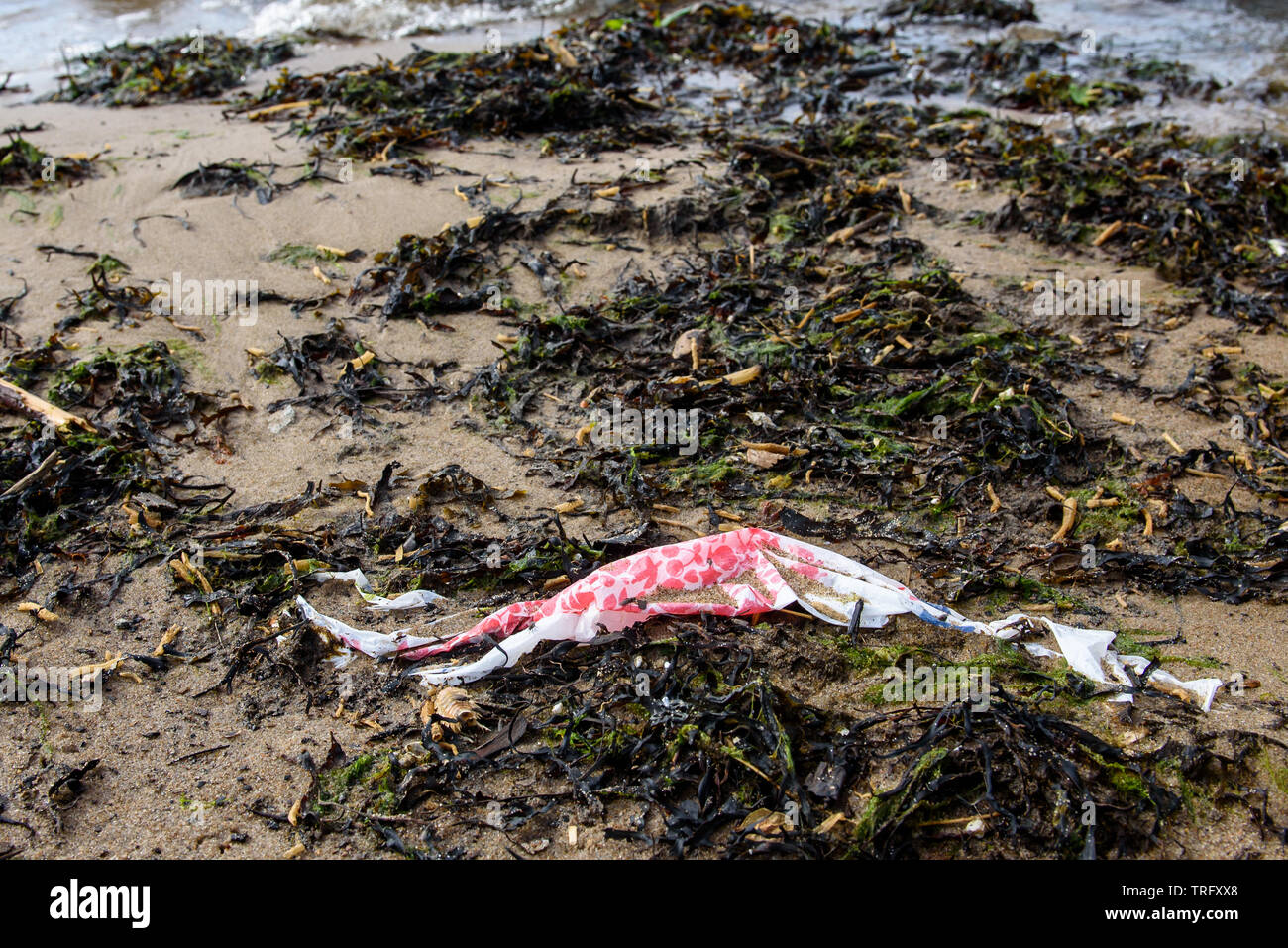 DAUGAVGRIVA, Lettland. 1. Juni 2019. Plastikbeutel liegend auf Sand am Strand in der Nähe von Ostsee. Stockfoto