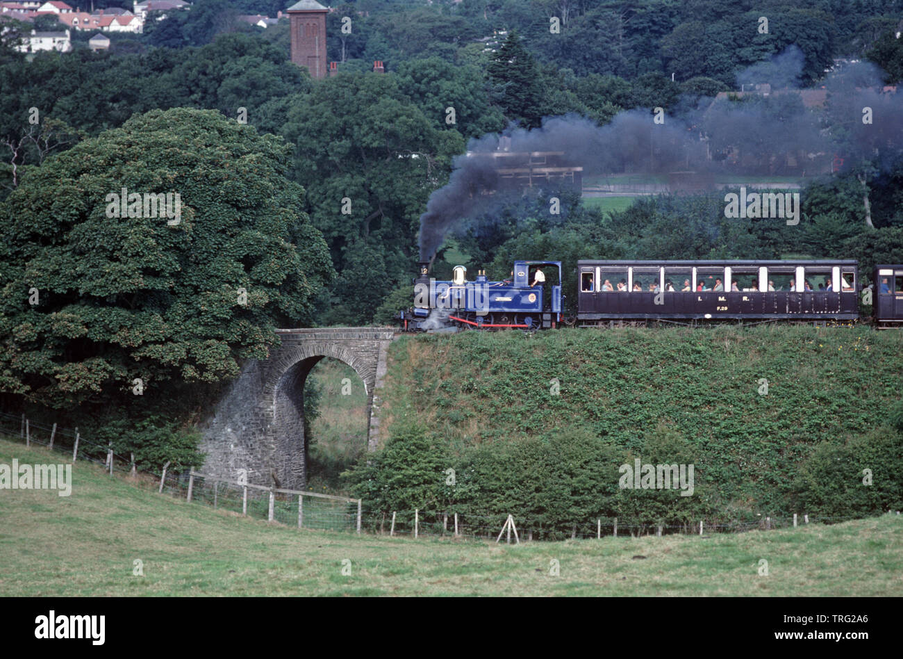 Insel Man Dampflokomotive aus die Isle of Man Railway in die Manx Landschaft Stockfoto