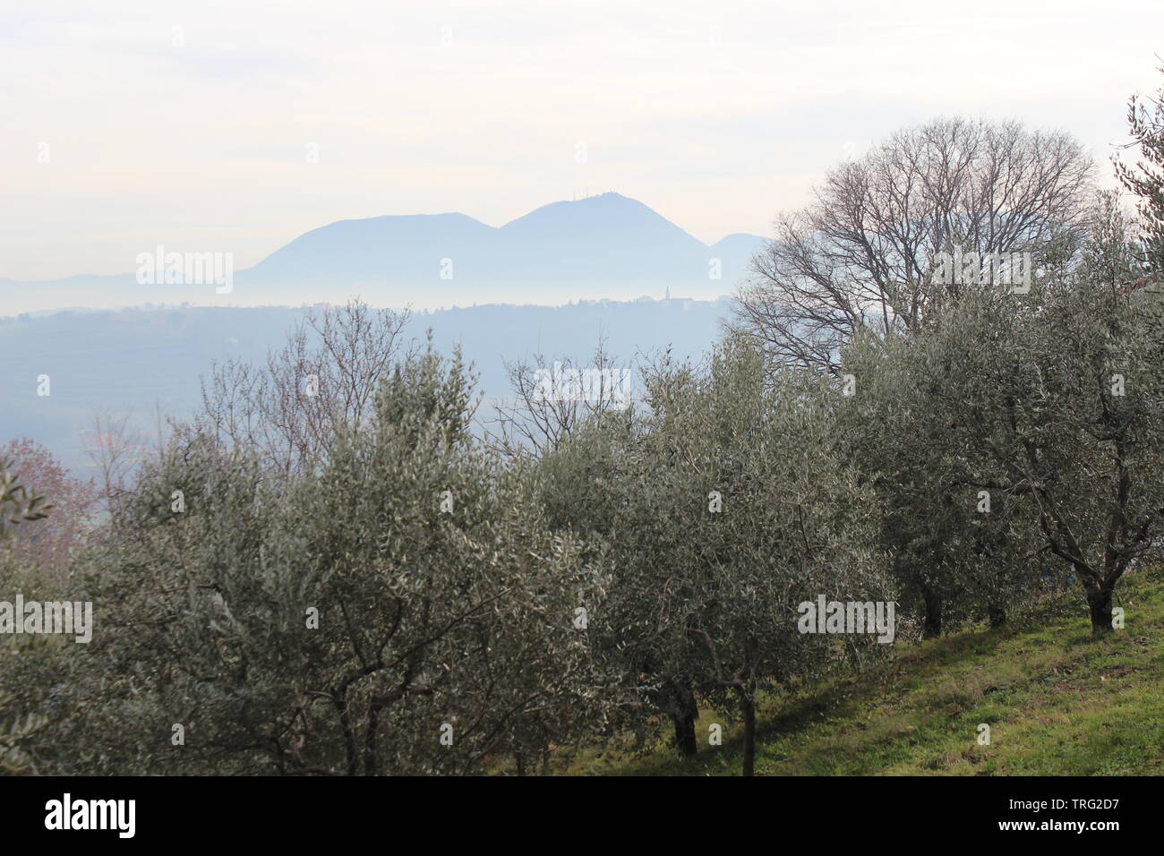 Italienische Küchelberg Landschaft im Herbst Stockfoto