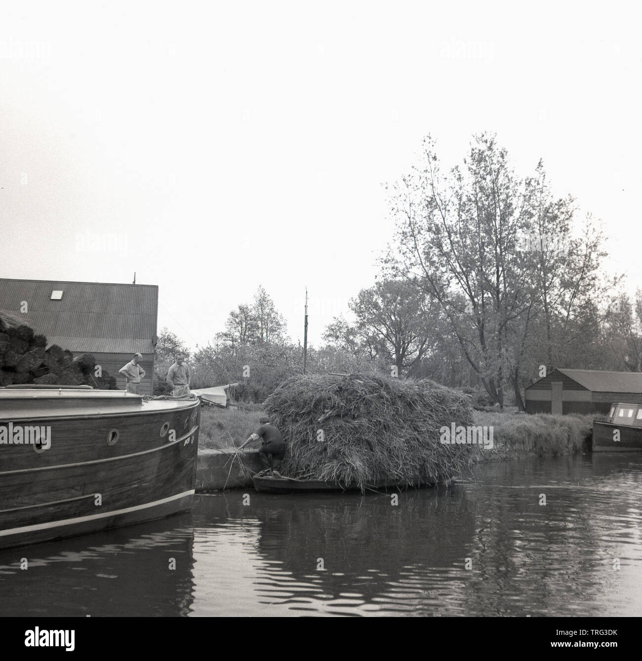 1950, historische, an der Themse, in der Nähe von Oxford, ein Mann manövrieren eine kleine Wasserfahrzeuge stark mit Stroh in Richtung der Sicherheit der Ufer, Oxford, England, Großbritannien geladen. Stockfoto