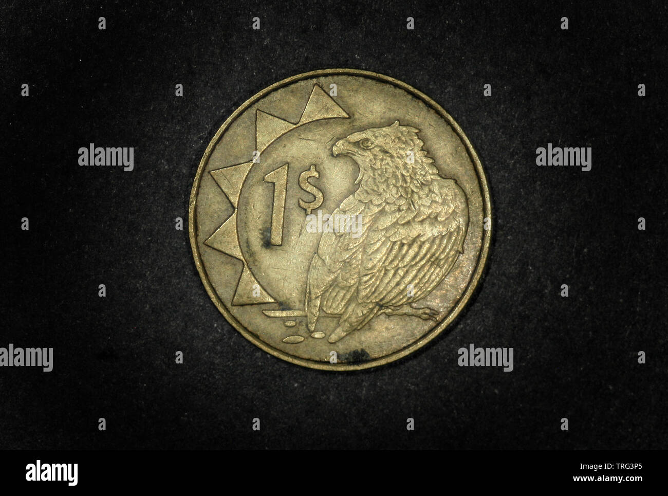 Namibia 1 Dollar, 1993 Stockfoto