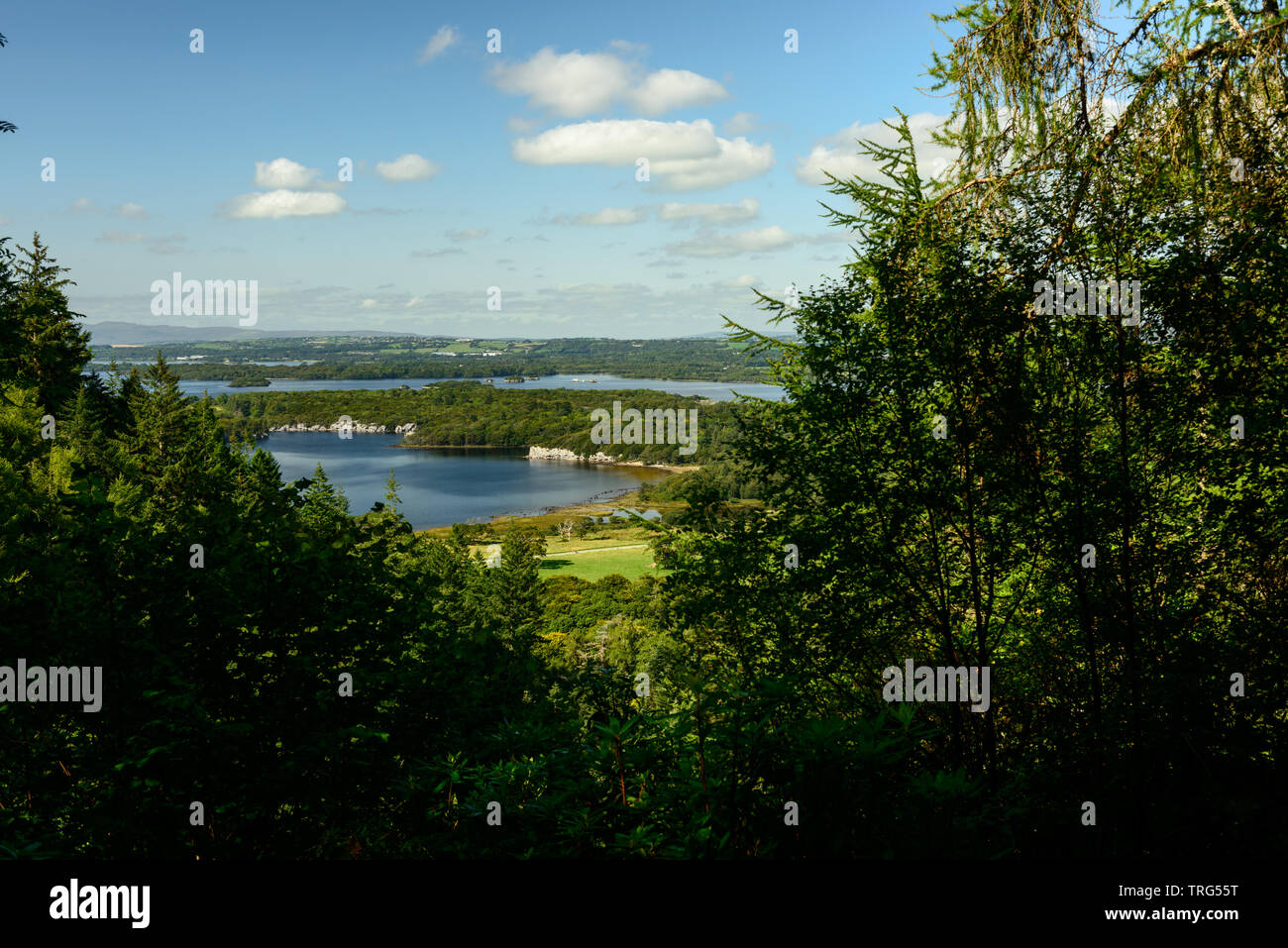 Muckross Lake vom Torc Mountain Trail im Killarney National Park, County Kerry, Irland Stockfoto