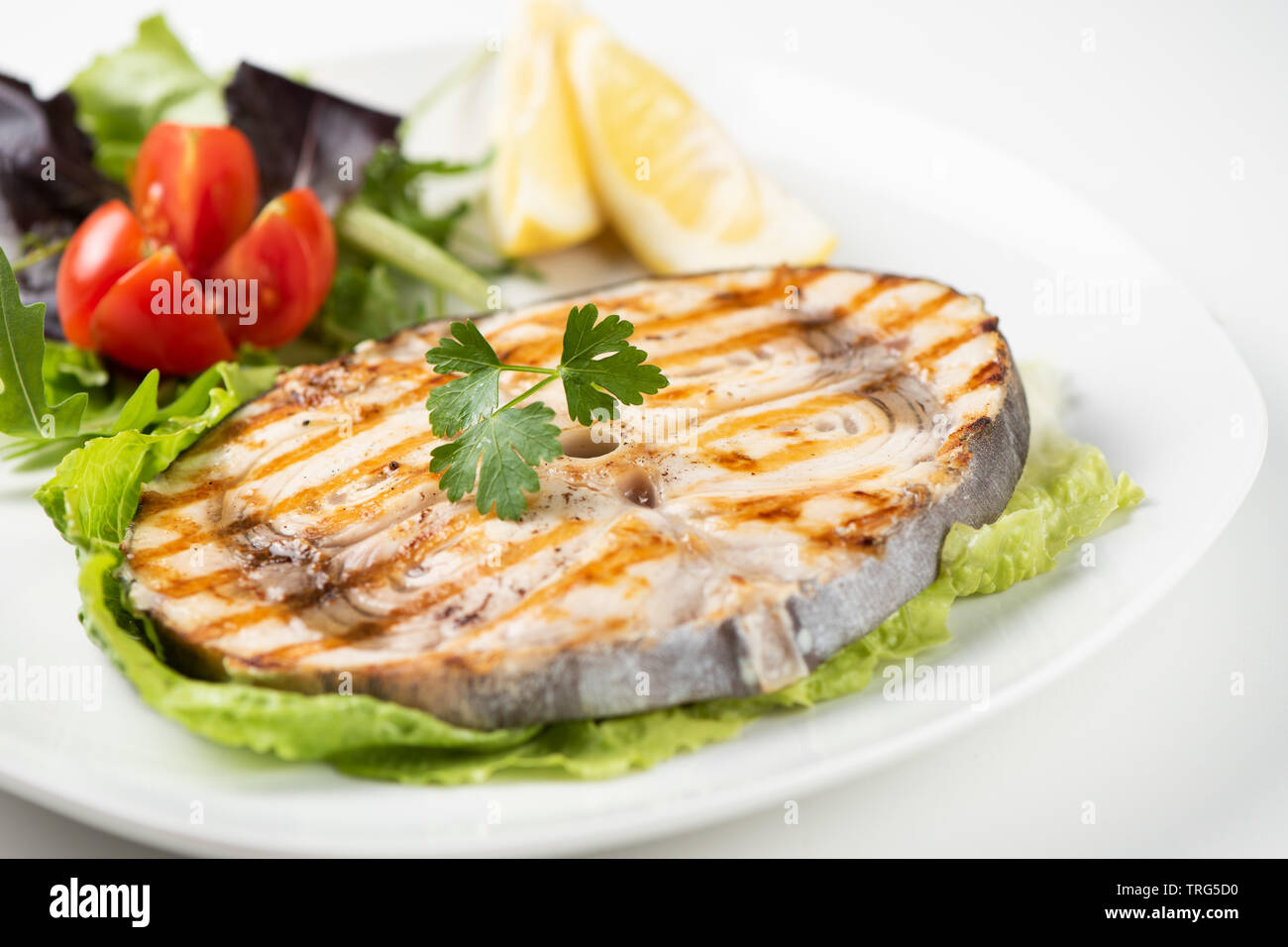 Gegrillter Schwertfisch mit Salat und Zitrone auf die weiße Platte. Nahaufnahme Stockfoto