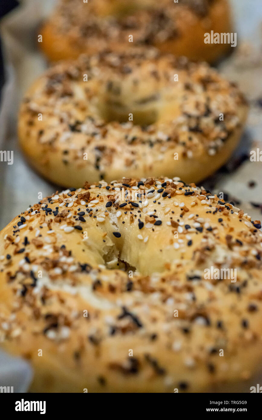 American Bagel frisch aus dem Ofen Stockfoto