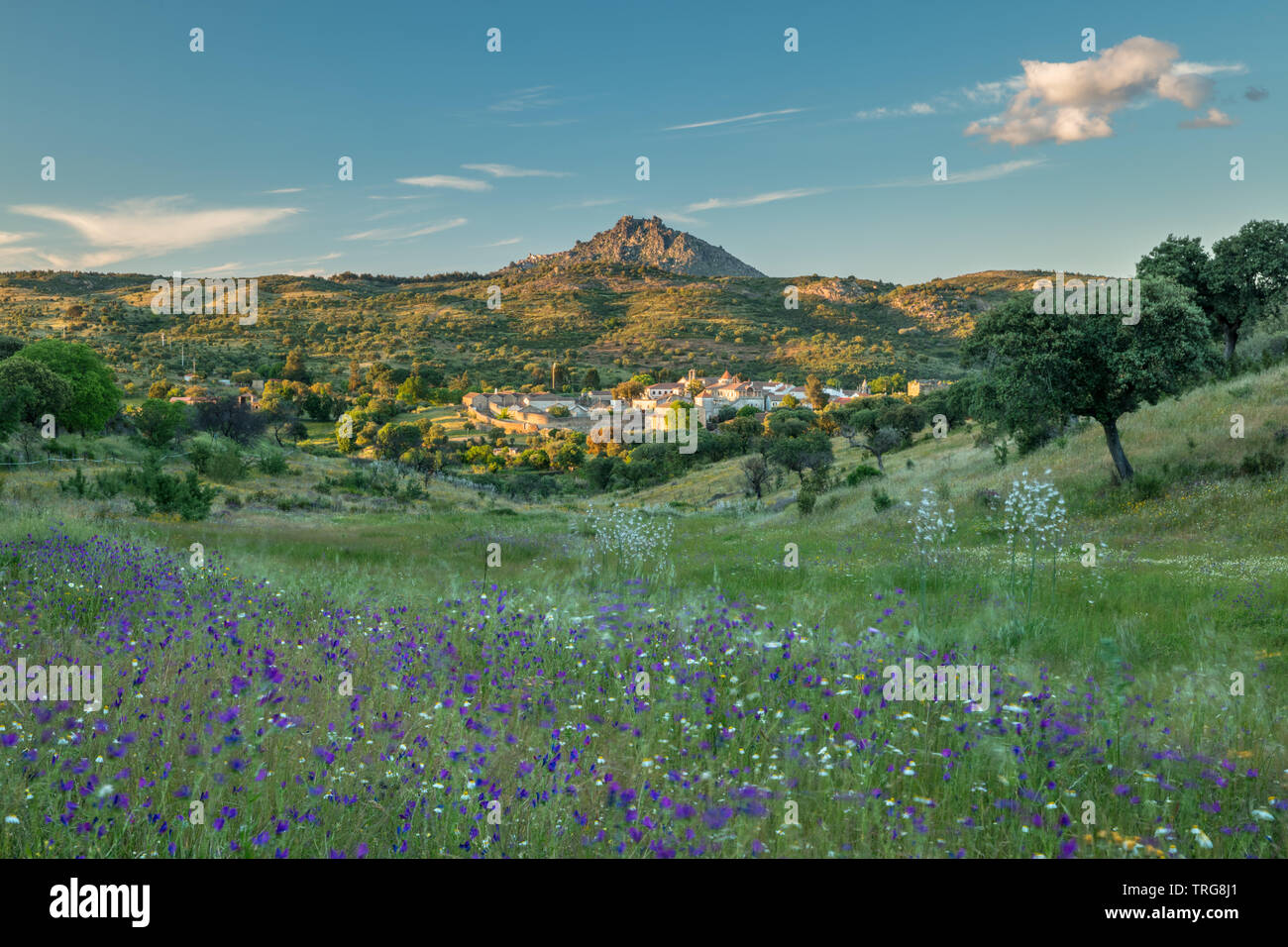 Die aincient settlemnet von Idhana a Velha mit der Hill Top Dorf Monsanto jenseits, Castelo Branco, Portugal Stockfoto