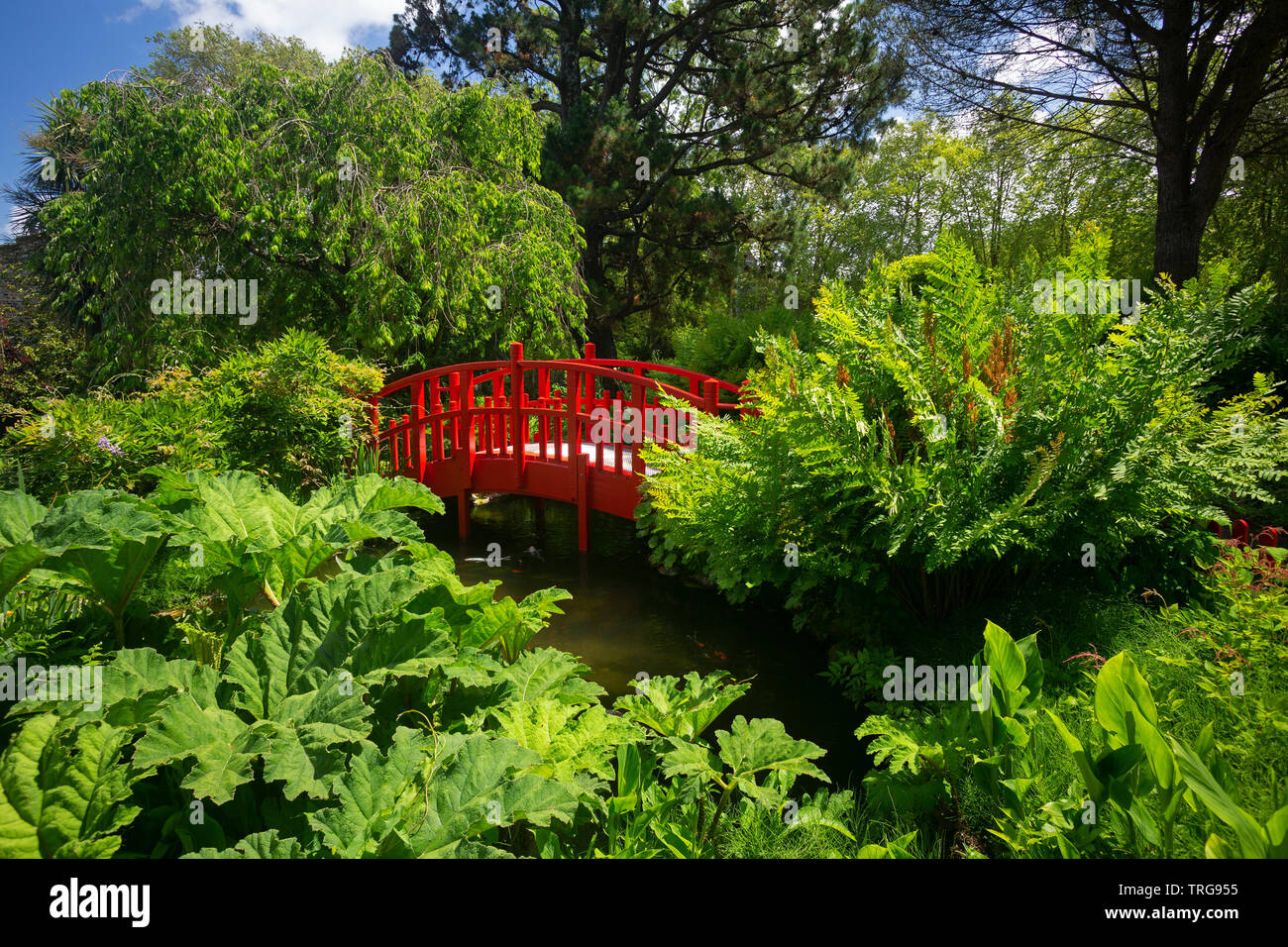 Der kleine rote Holzsteg Der botanische Garten Bayonne (Frankreich). Dieser Garten wurde nach einem japanischen Modell gelegt. Stockfoto