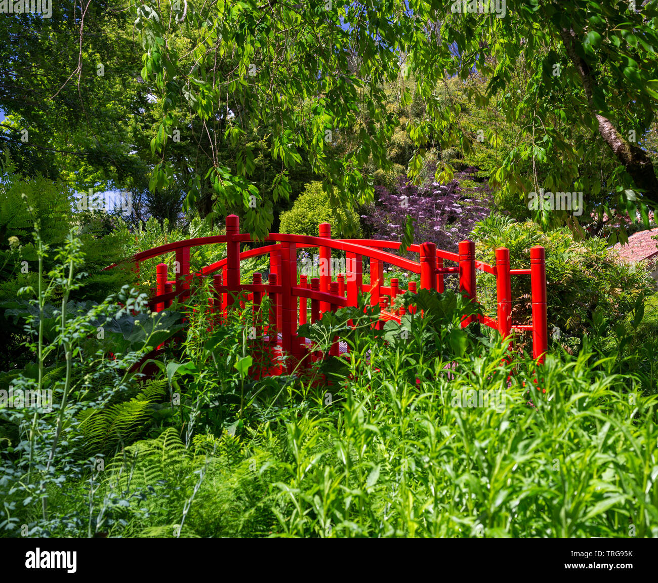 Der kleine rote Holzsteg Der botanische Garten Bayonne (Frankreich). Dieser Garten wurde nach einem japanischen Modell gelegt. Stockfoto