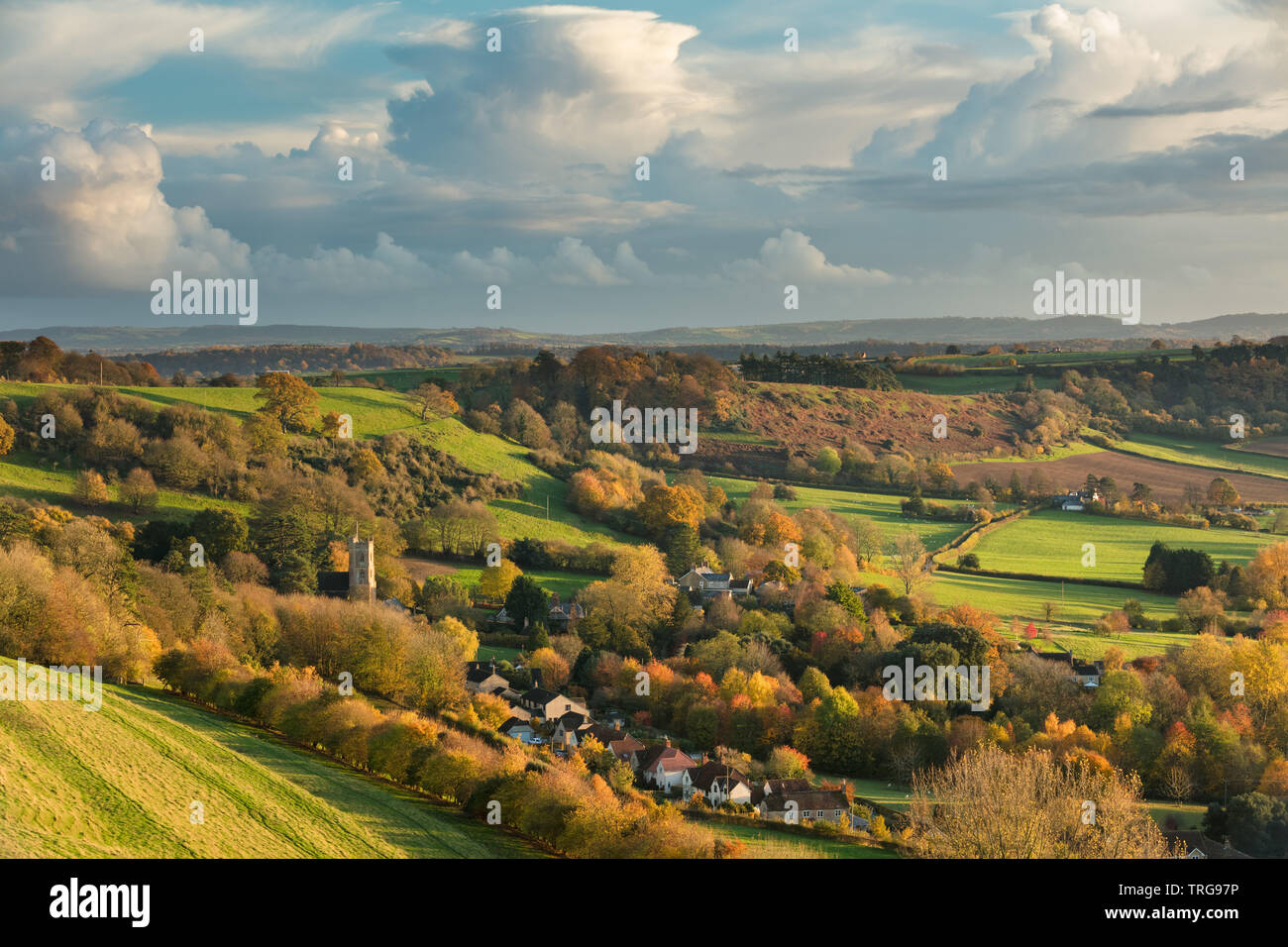Herbstliche Farben, Corton Denham, Somerset, England, Großbritannien Stockfoto