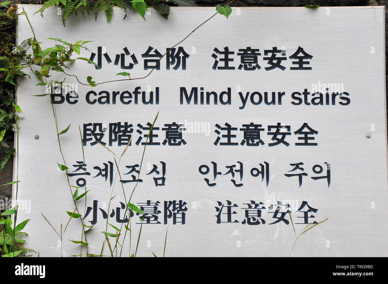 Chinglish sign -Fotos und -Bildmaterial in hoher Auflösung – Alamy