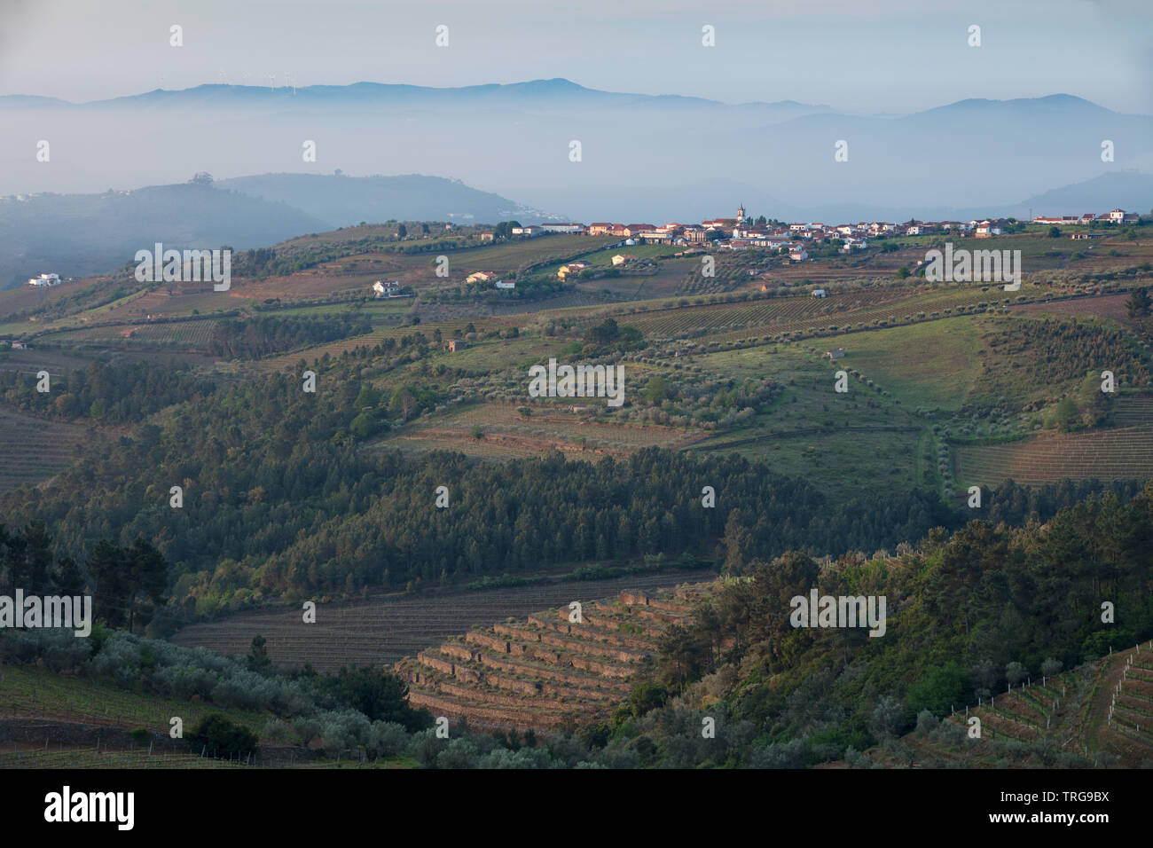 Die Douro Valley Wine Region von Sabrosa, Vila Real, Portugal Stockfoto