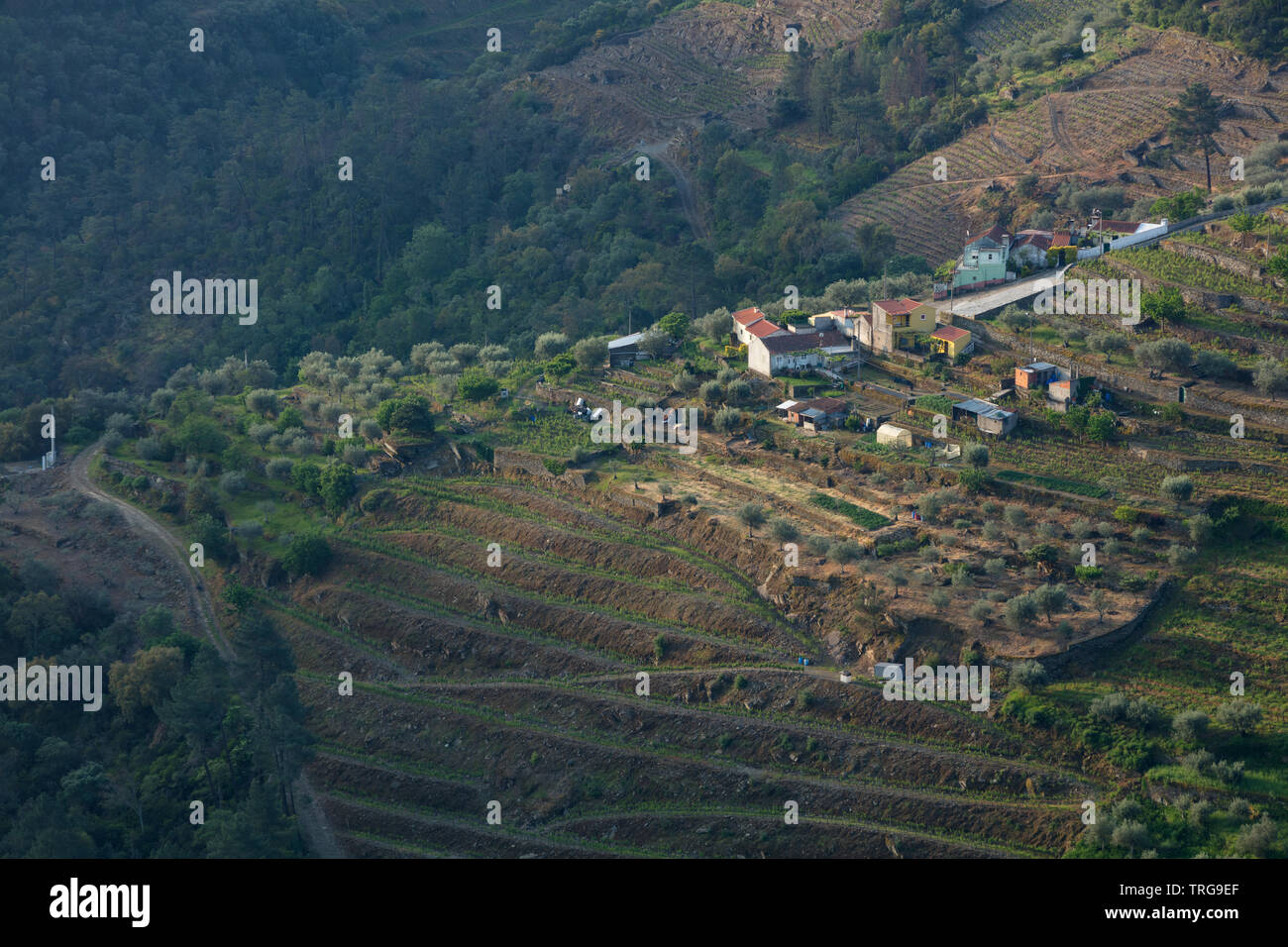 São Cristovão do Douro im Douro Valley Wine Region, Vila Real, Portugal Stockfoto