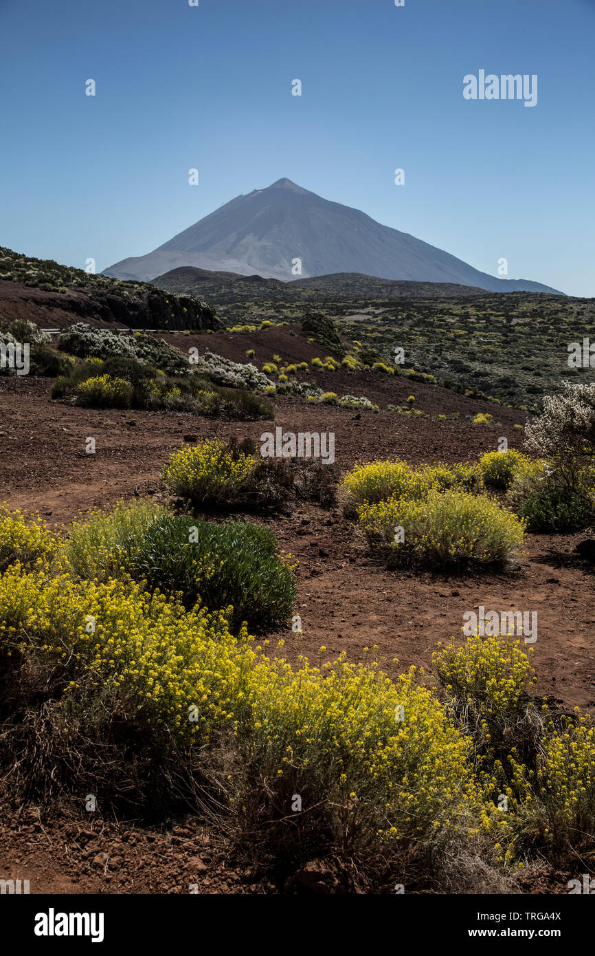 Mount Teide Gipfel über den Nationalpark Teide, Teneriffa, Spanien gesehen Stockfoto