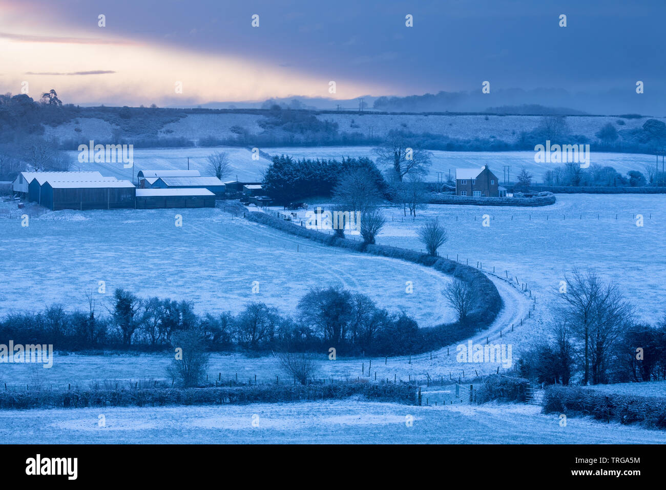 Kingsbury Farm, milborne Port im Schnee, Somerset, England, Großbritannien Stockfoto