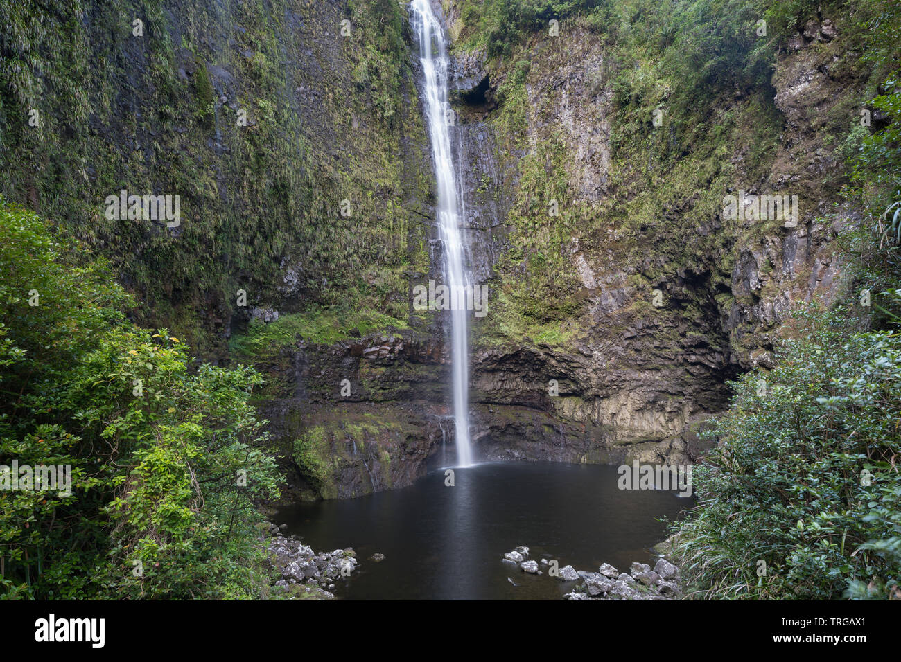 Eine Kaskade in der Marsouins Tal, Takamaka, Réunion, Frankreich Stockfoto
