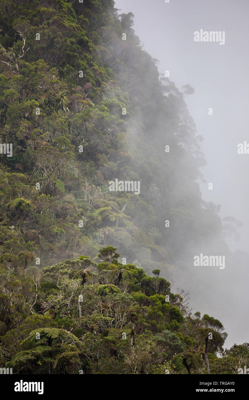 Niedrige Wolke auf dem Col de Boeuf, Réunion, Frankreich Stockfoto