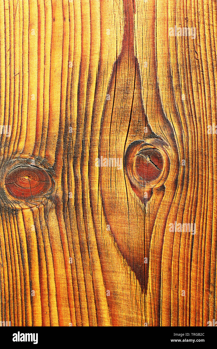 Detaillierte Textur der fir Plank, natürlichen Muster mit Knoten Stockfoto