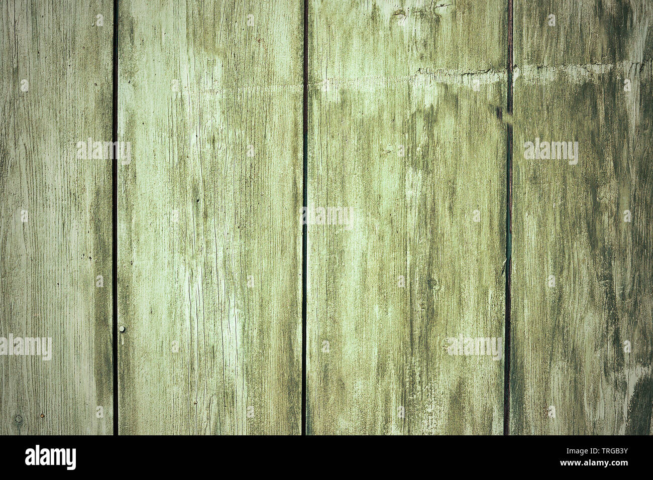 Holzzaun Planken Textur bereit für Ihr Design Stockfoto