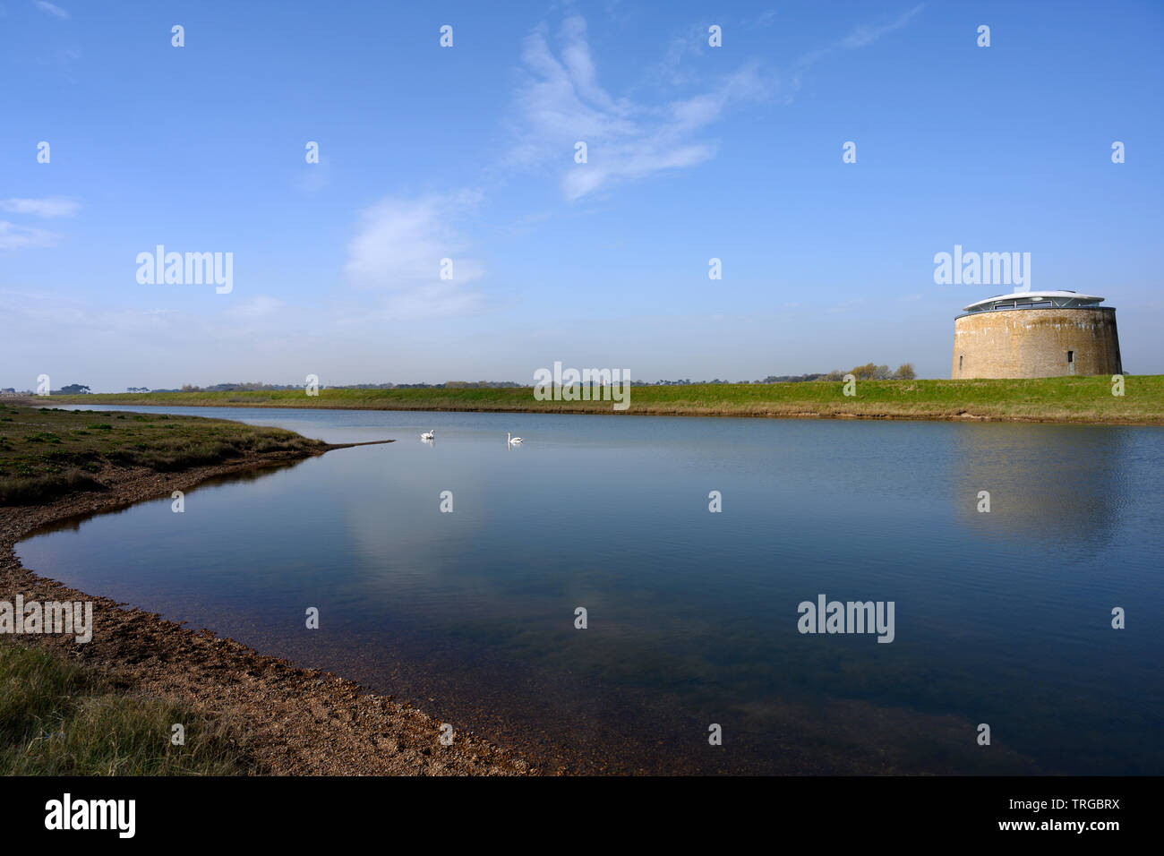 Martello Tower Y East Lane Bawdsey Suffolk UK Stockfoto