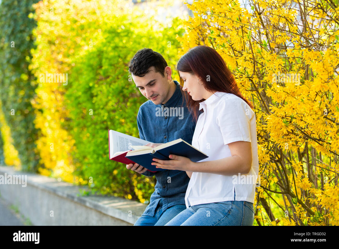 Die Schüler lernen für Prüfung zusammen in einem Stadtpark. Studenten Brainstorming lernen für die Prüfung. Fast Learning Konzept. Studenten Teamarbeit. Stockfoto