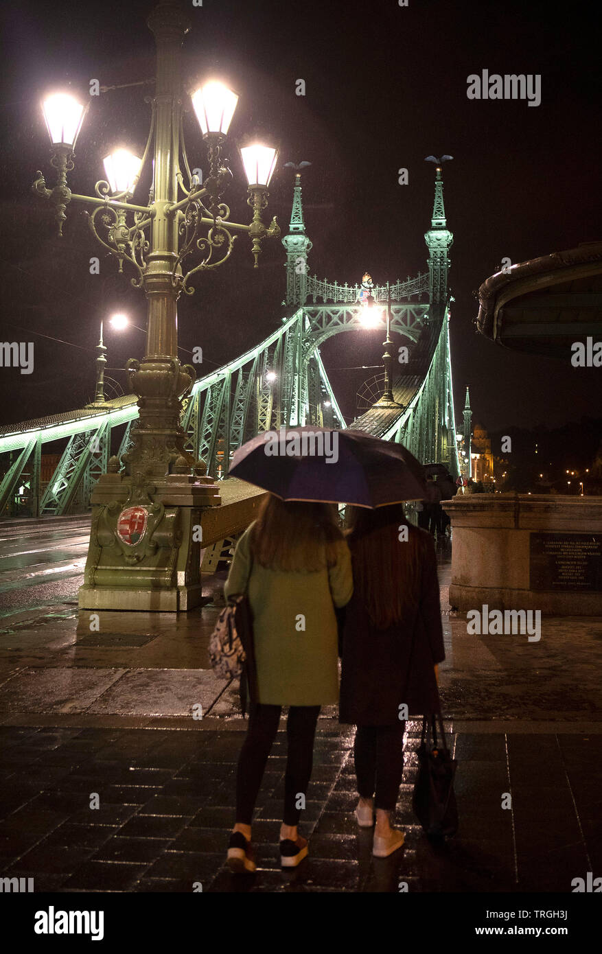 Budapest, Ungarn: szabadság Bridge Stockfoto