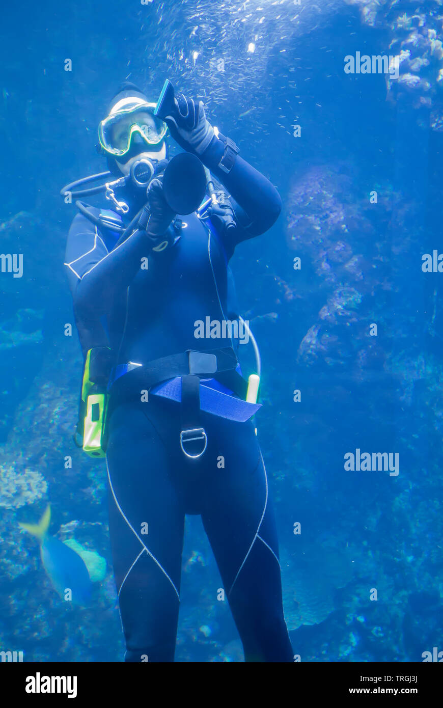 Diver Reinigung Innen von Aquarium Tank Stockfoto