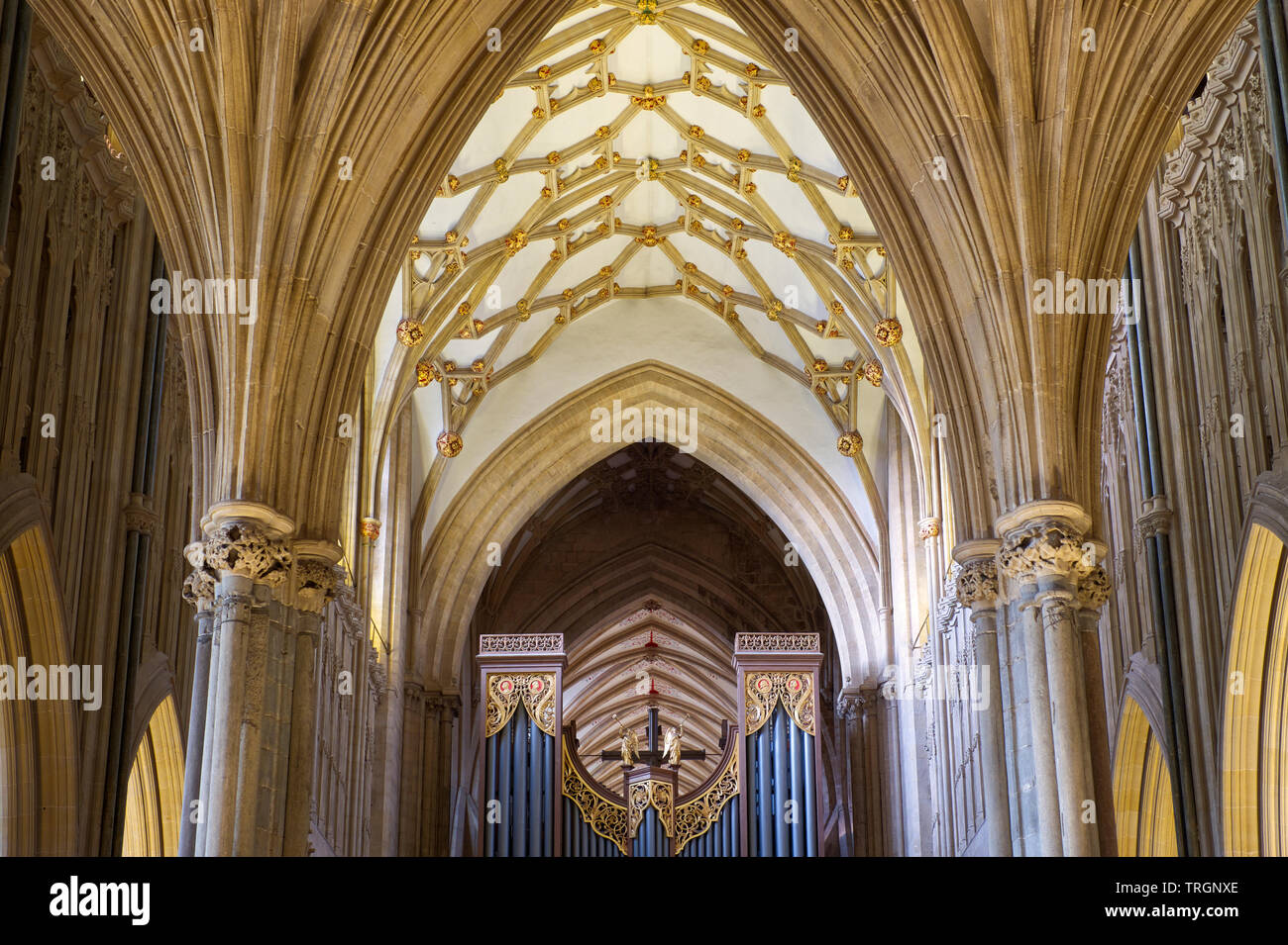 Wells Cathedral Detailansicht der Quire Torbögen und gewölbten Decken. Stockfoto