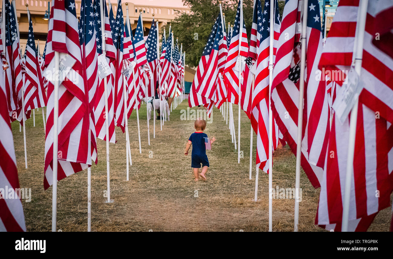 Die Heilfelder am Tempe Town Lake, Denkmal Stockfoto