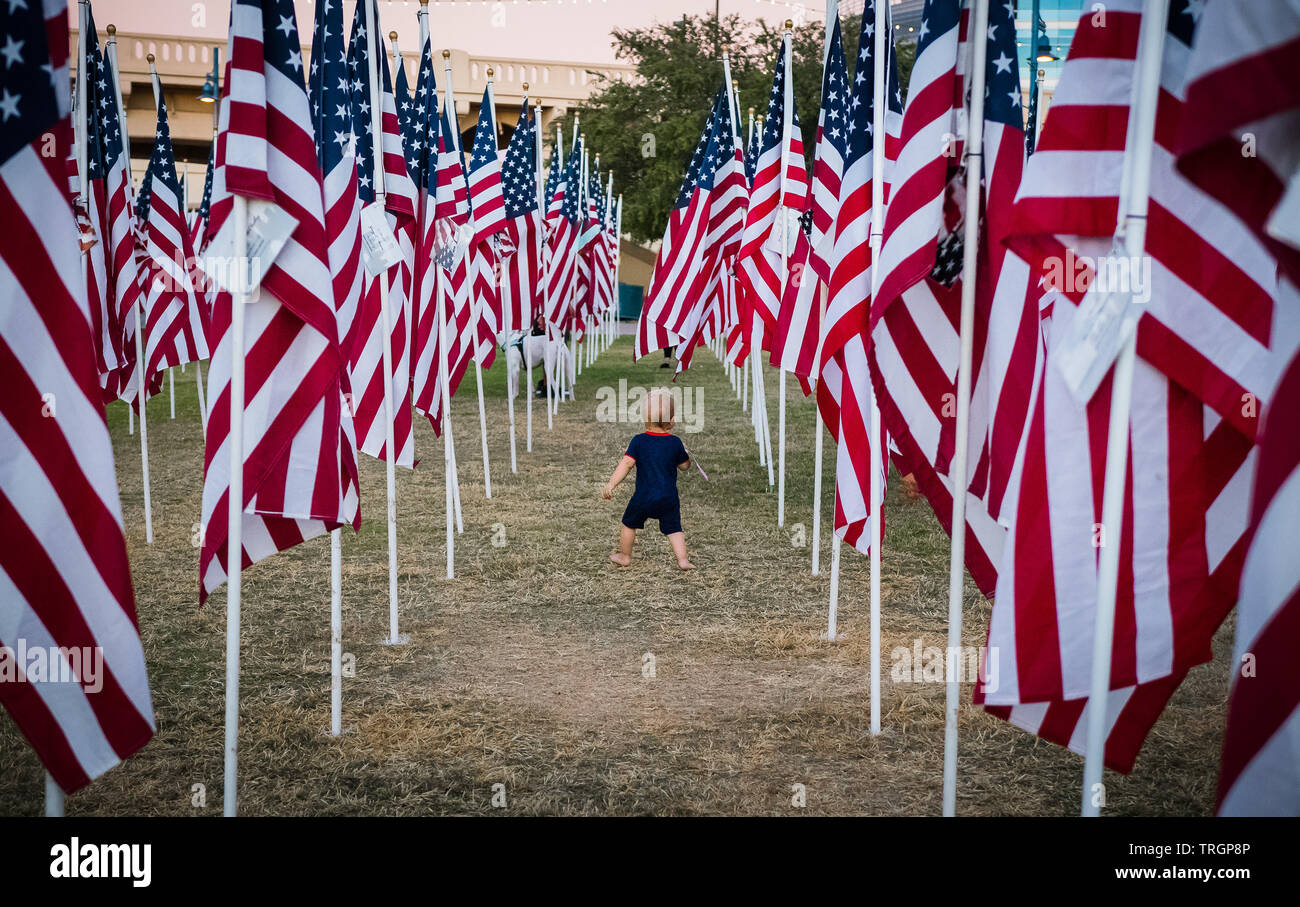 Die Heilfelder am Tempe Town Lake, Denkmal Stockfoto