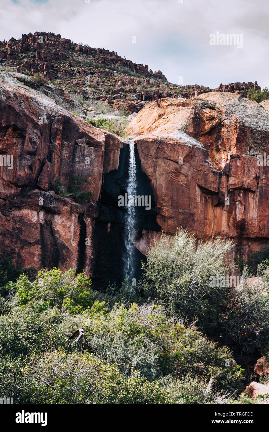 Wasserfall in der Wüste mit Kakteen und Bergbewohner Stockfoto