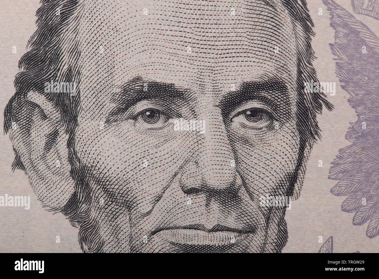Nahaufnahme von Abraham Lincoln am 5 Dollar Bill Stockfoto