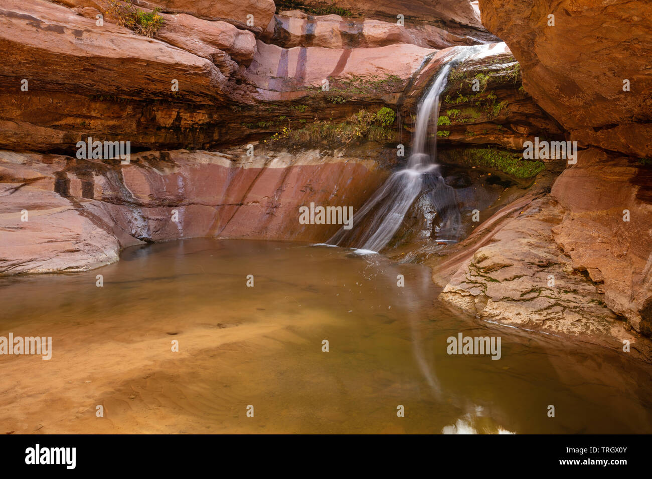 Kleiner Pool im unteren Bereich ein Wasserfall auf der Pine Creek, Zion National Park, Utah Stockfoto