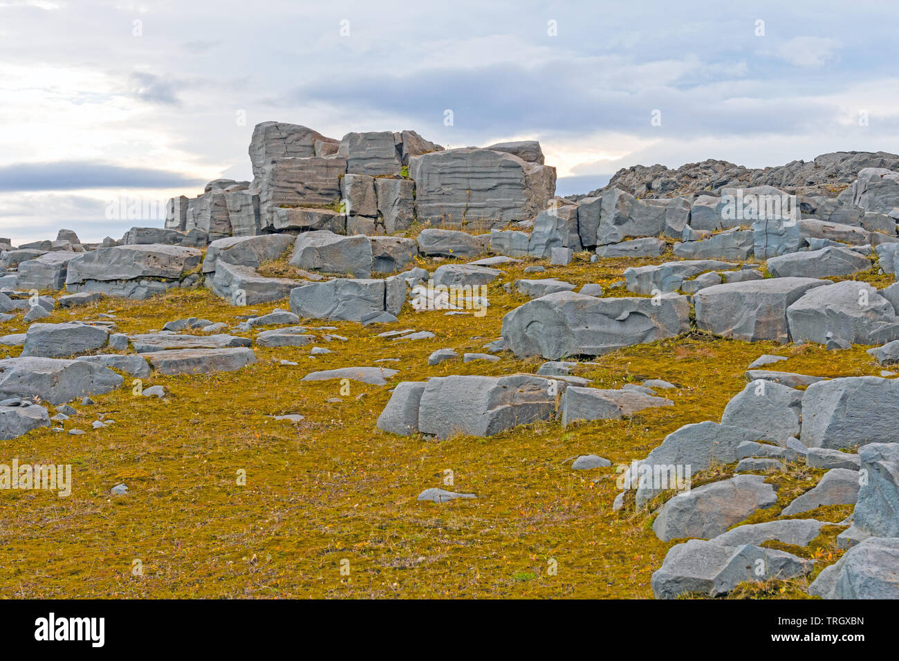 Granitblöcke in der Tundra in der Nähe von Detifoss im Norden Island Stockfoto
