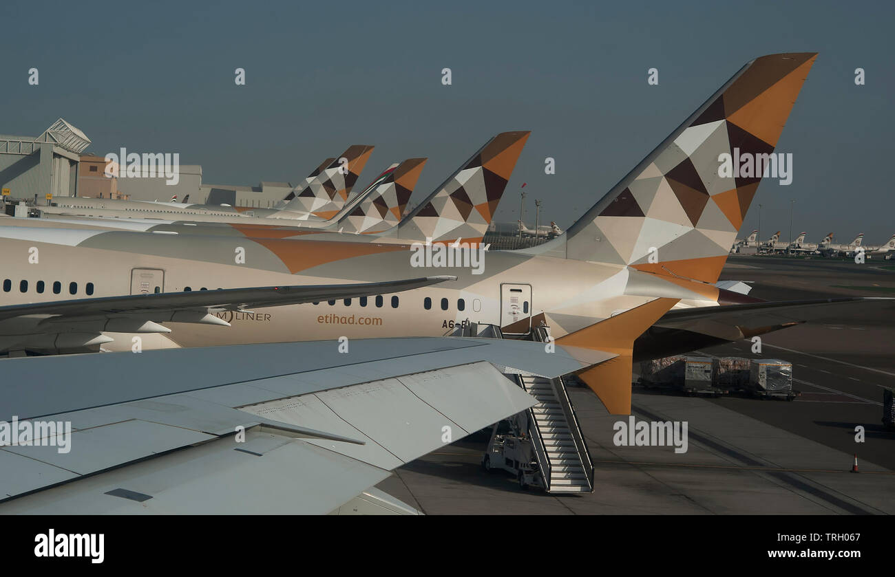 Etihad Flugzeuge, die in einer Reihe am Flughafen Abu Dhabi, Vereinigte Arabische Emirate, Naher Osten Stockfoto